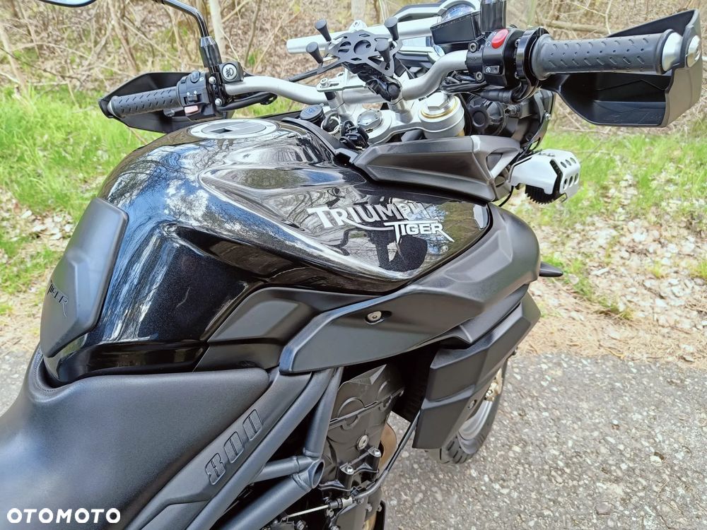 Triumph Tiger - 9