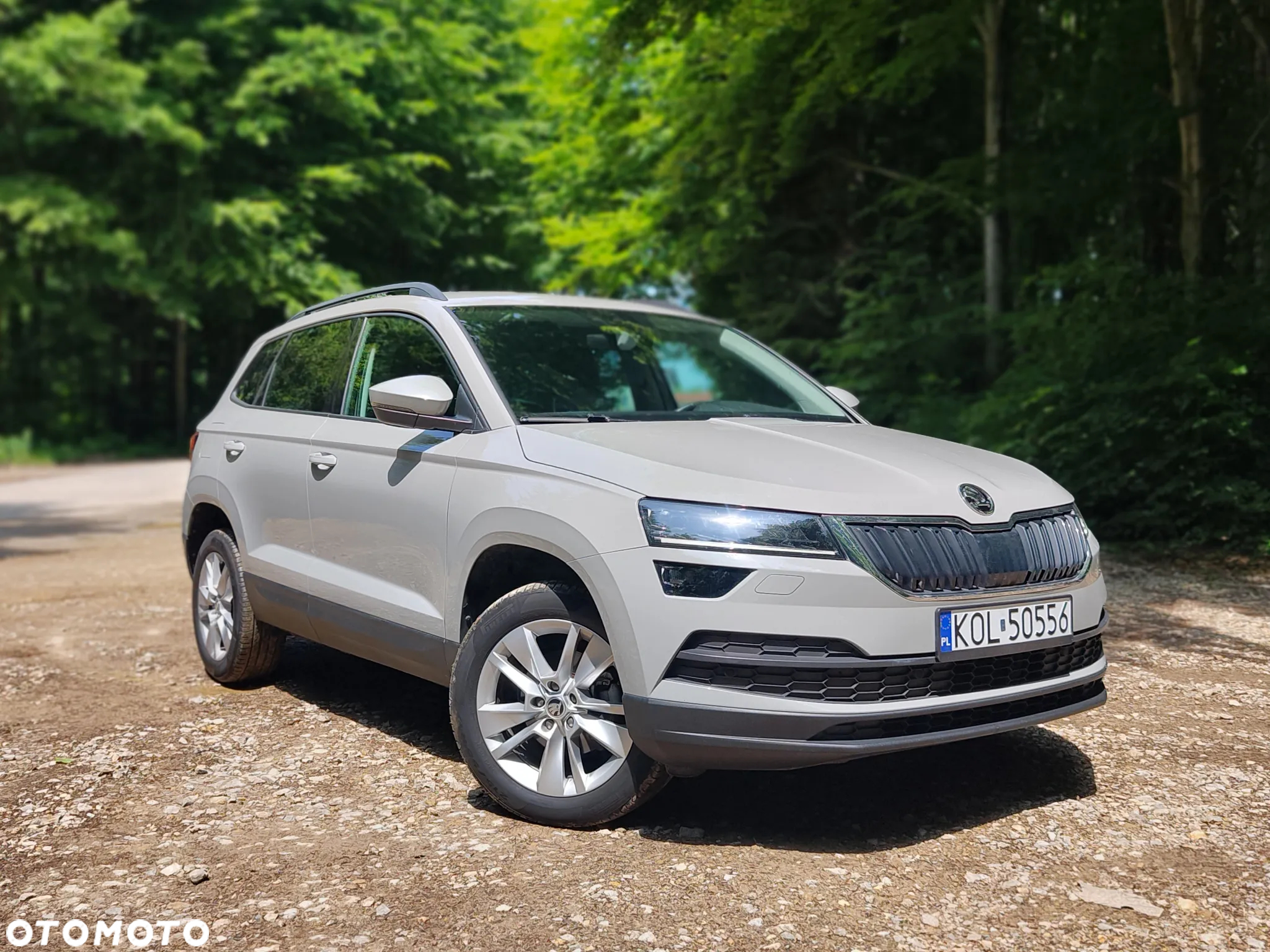 Skoda Karoq - 33
