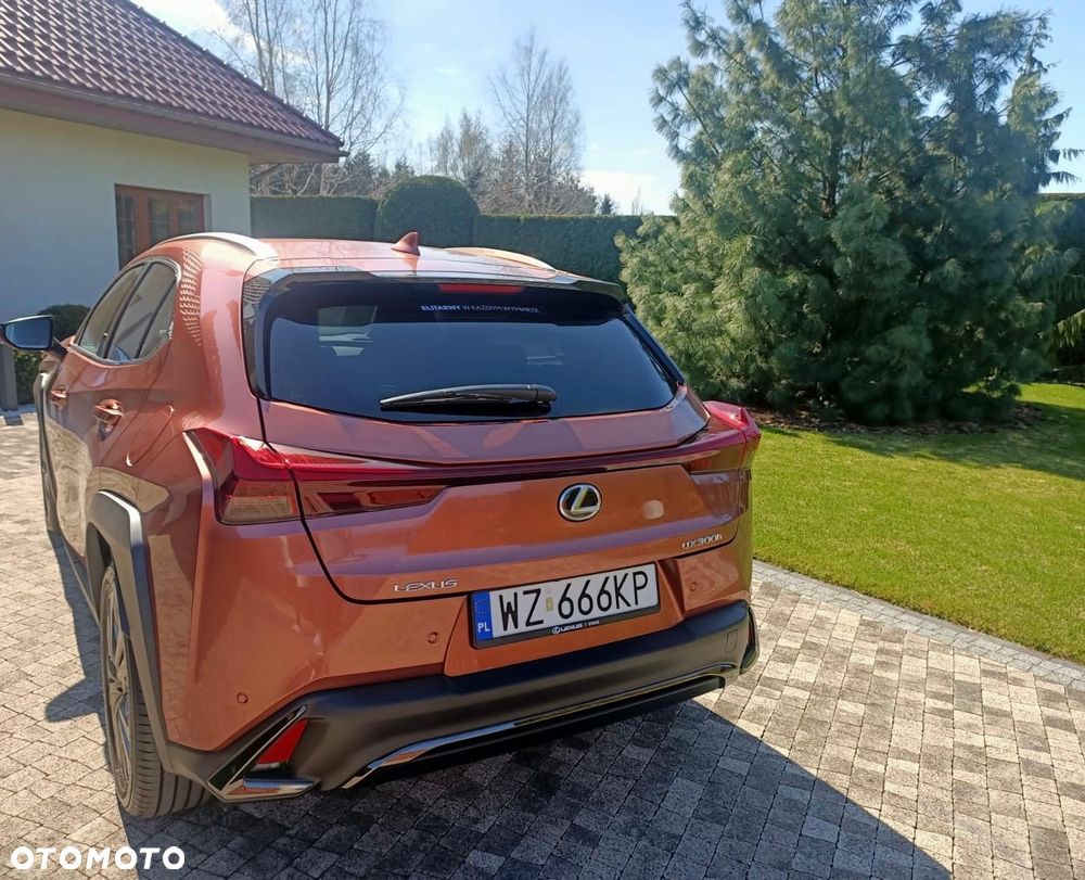 Lexus UX 300h F Sport Design - 6