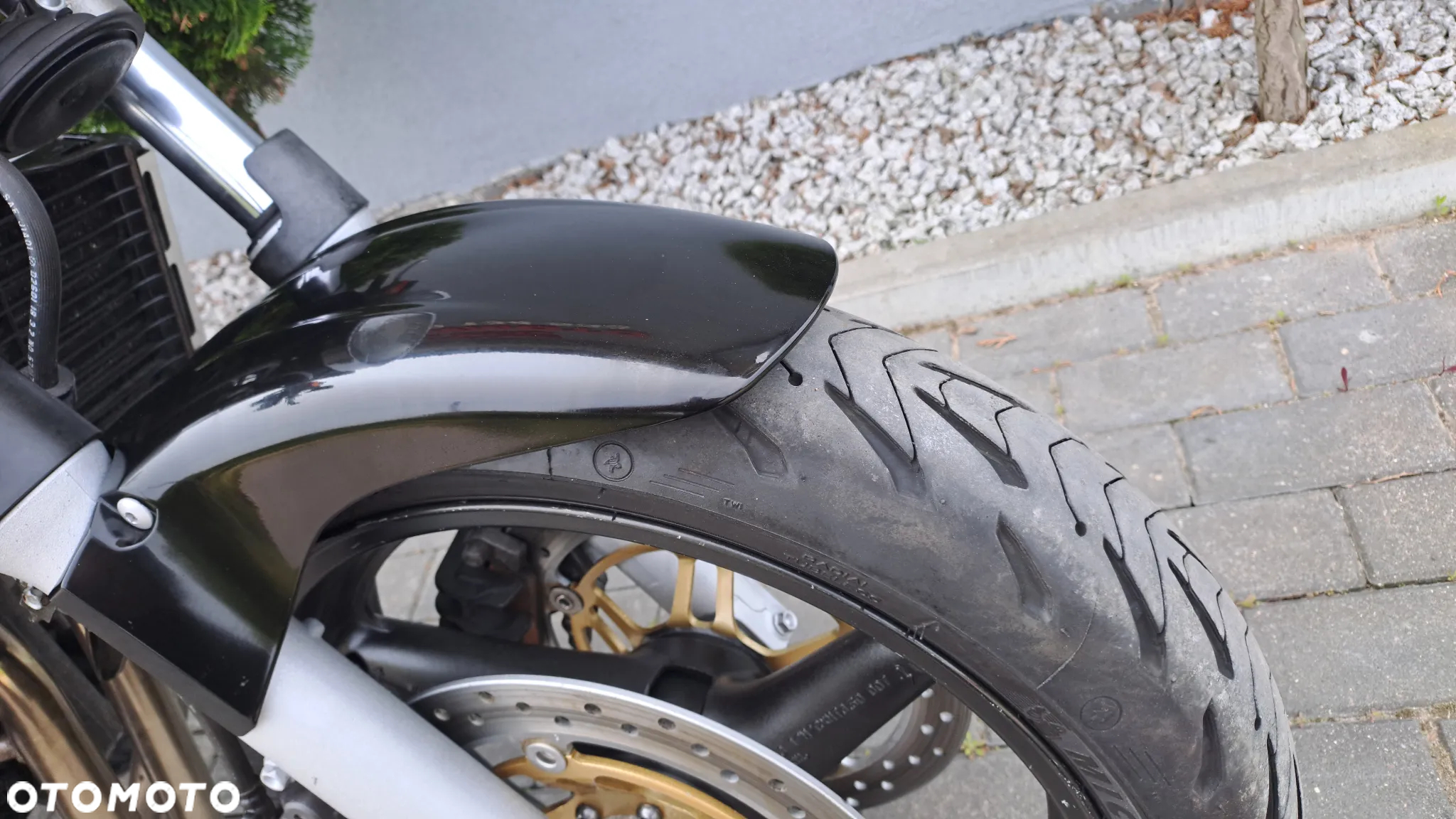 Honda Hornet - 13