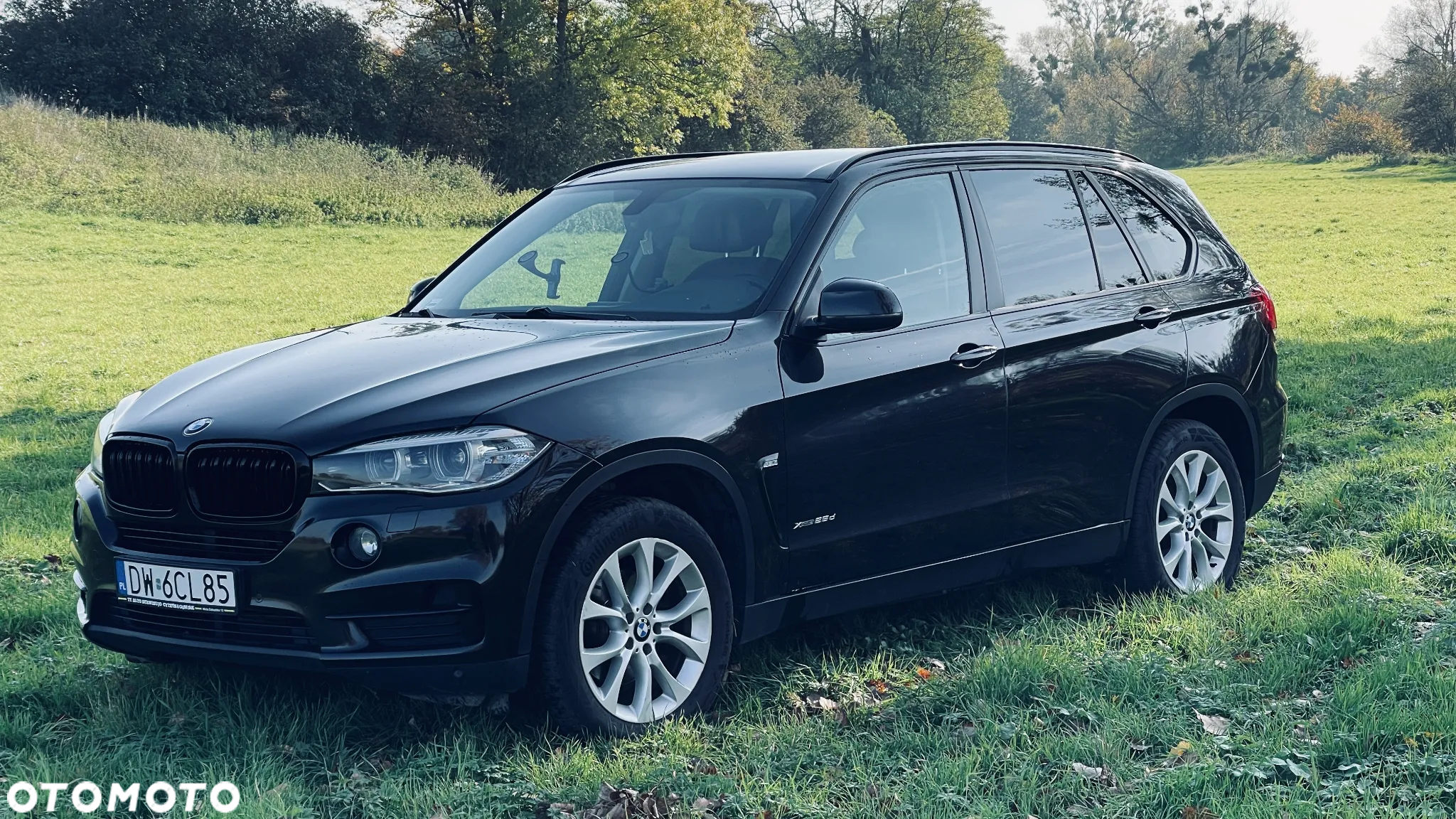 BMW X5 xDrive25d - 3