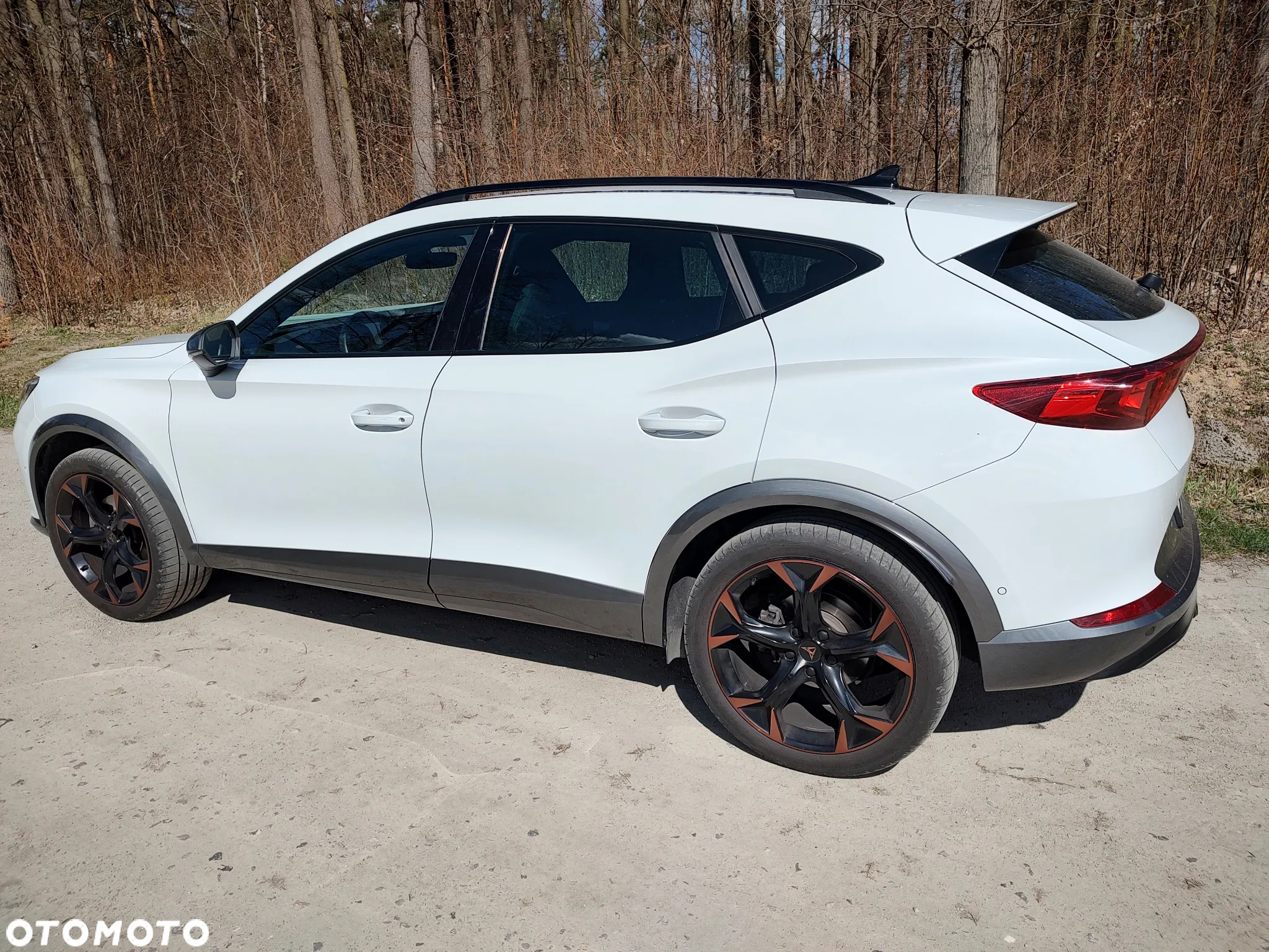 Cupra Formentor 1.5 TSI - 2