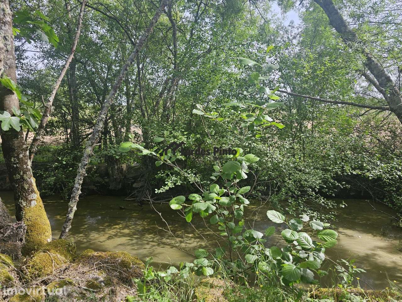 Quinta à beira do Rio Ocreza - Grande imagem: 3/31