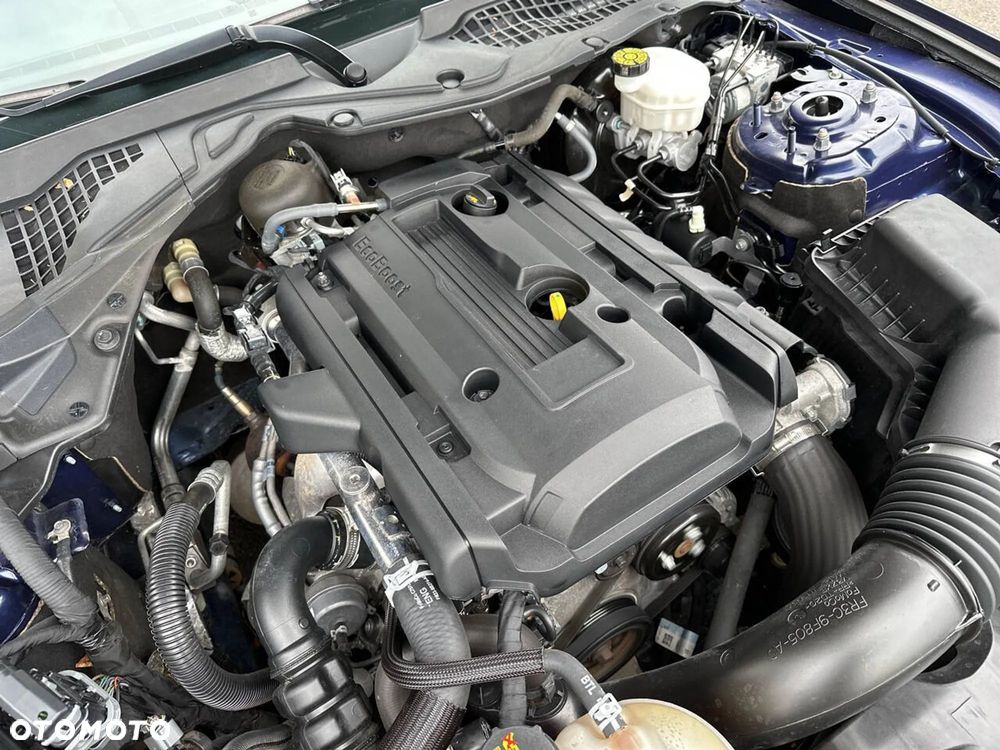 Ford Mustang - 30