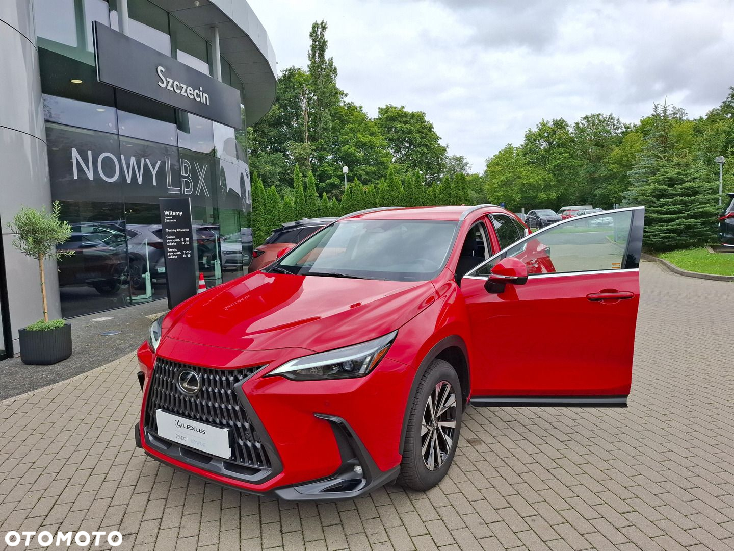 Lexus NX - 9