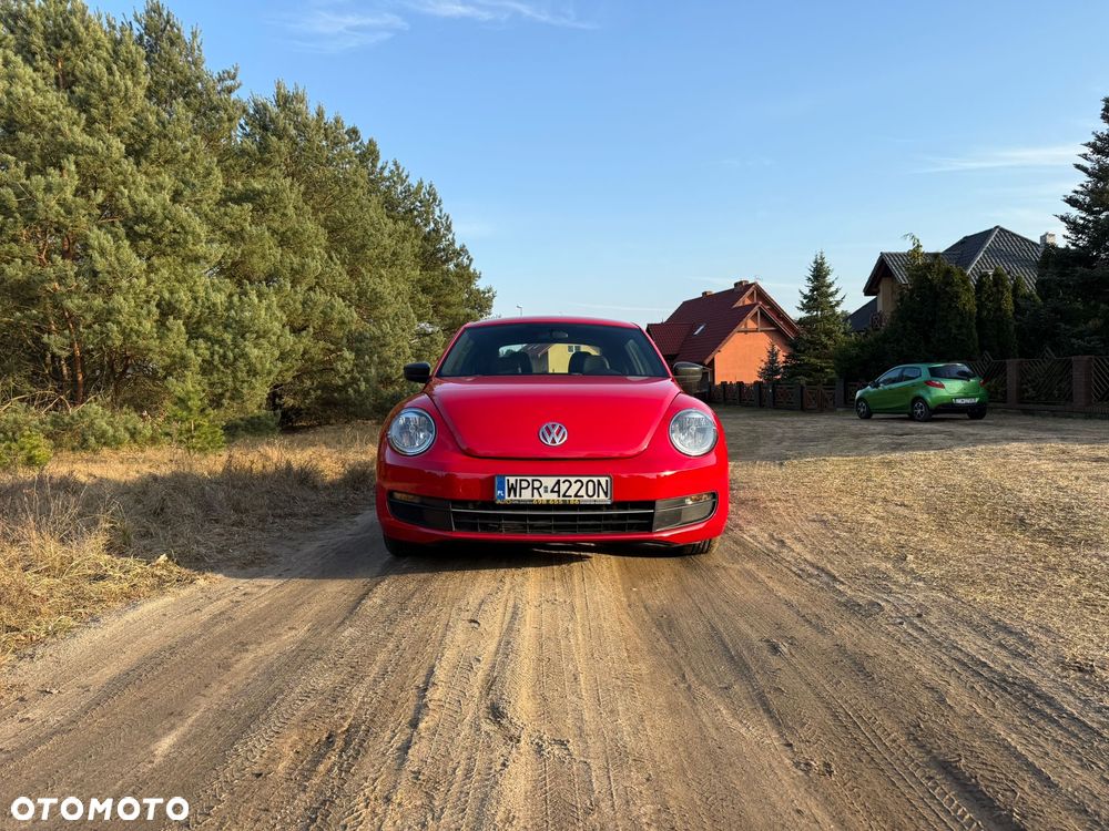 Volkswagen Beetle - 4