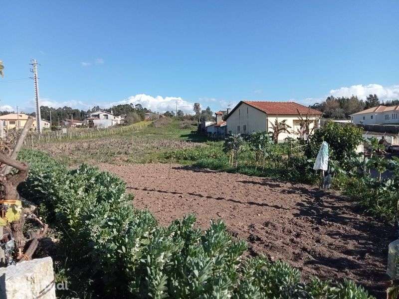 Terreno com vista magnífica para Rio Vouga em Angeja - Grande imagem: 3/8