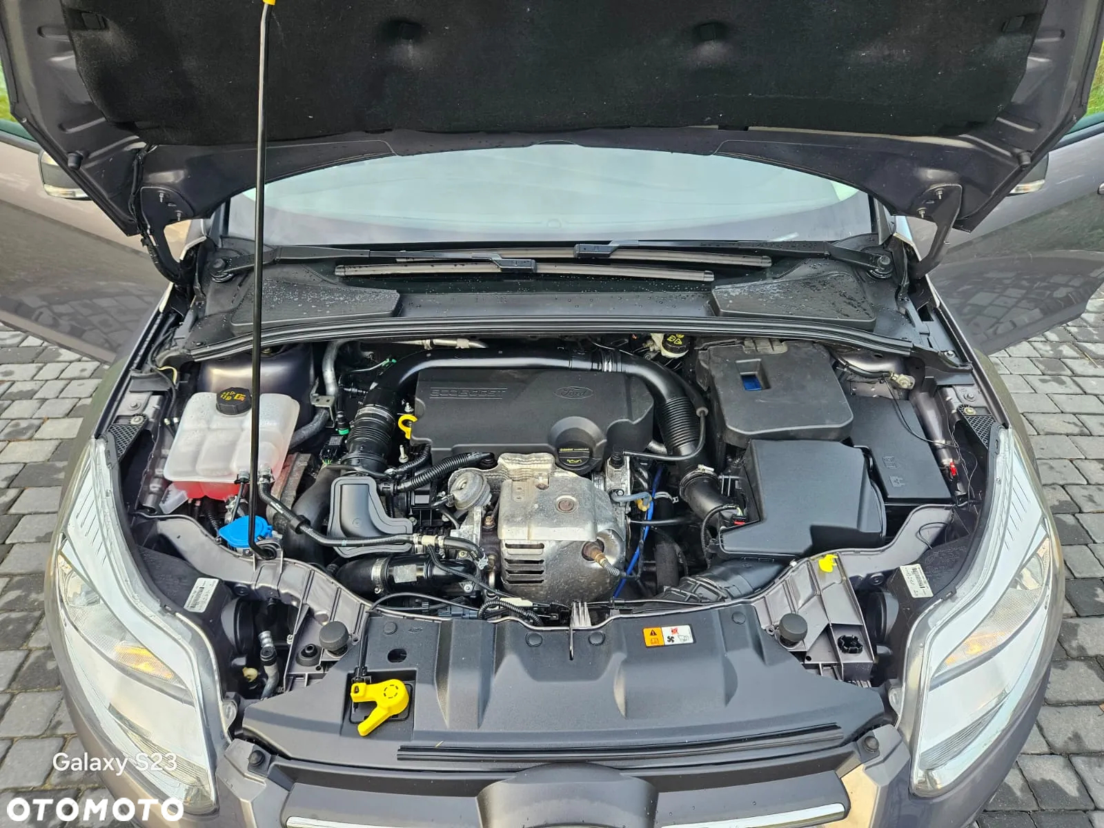 Ford Focus - 32
