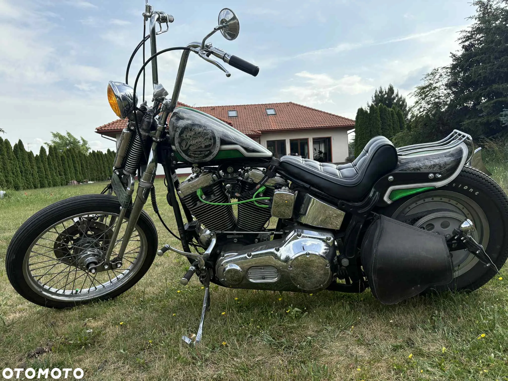Harley-Davidson Softail - 8