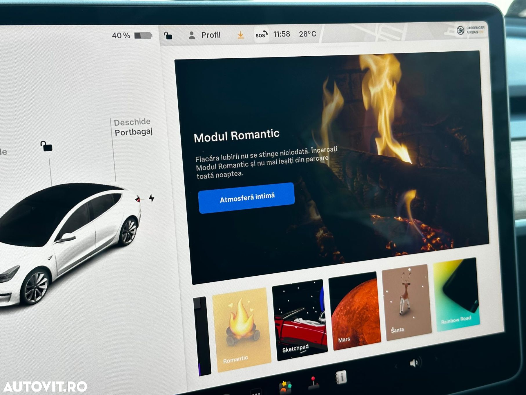 Tesla Model 3 Standard Reichweite Plus Hinterradantrieb - 19