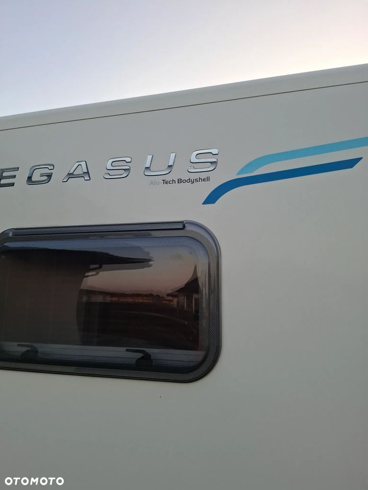 Bailey Pegasus - 8