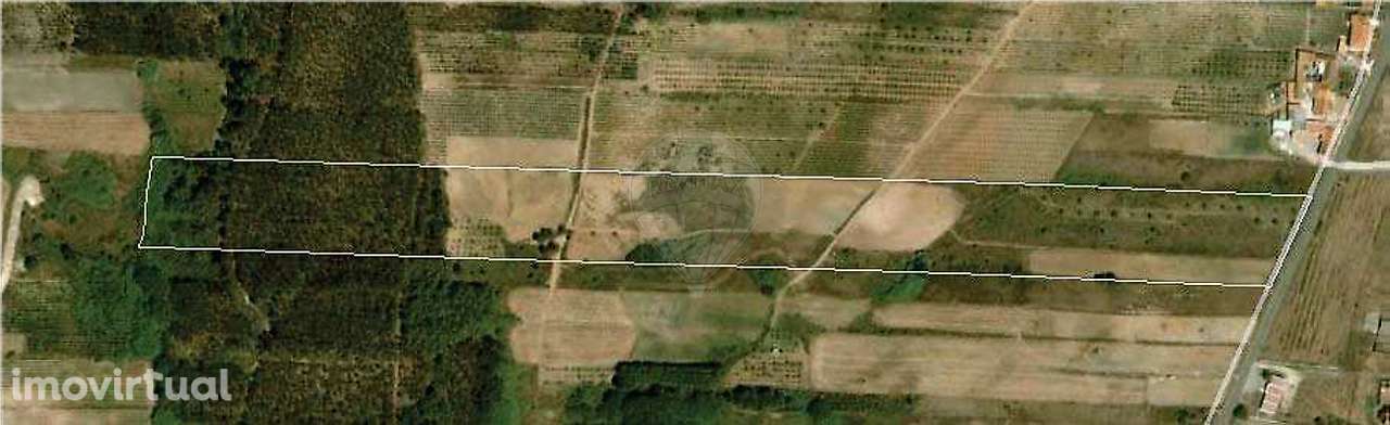 Terreno  para venda - Grande imagem: 2/3