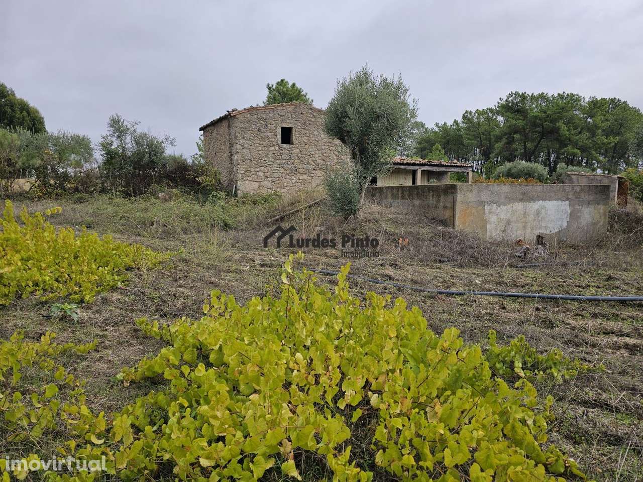 Quinta com construção em pedra - Grande imagem: 2/20