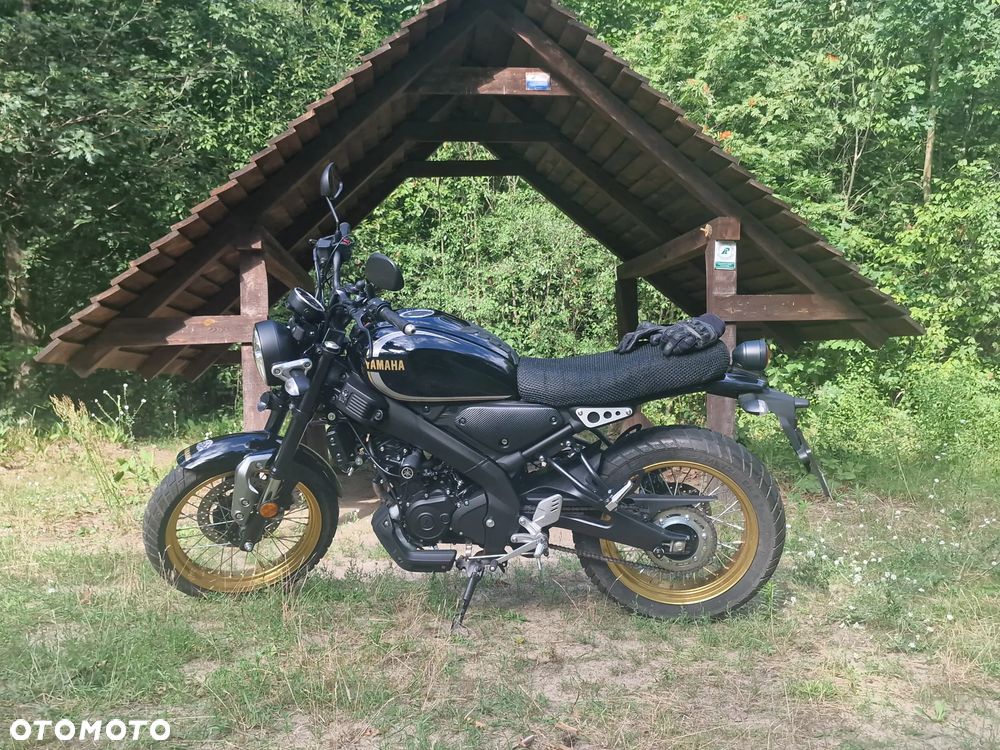 Yamaha XSR - 5