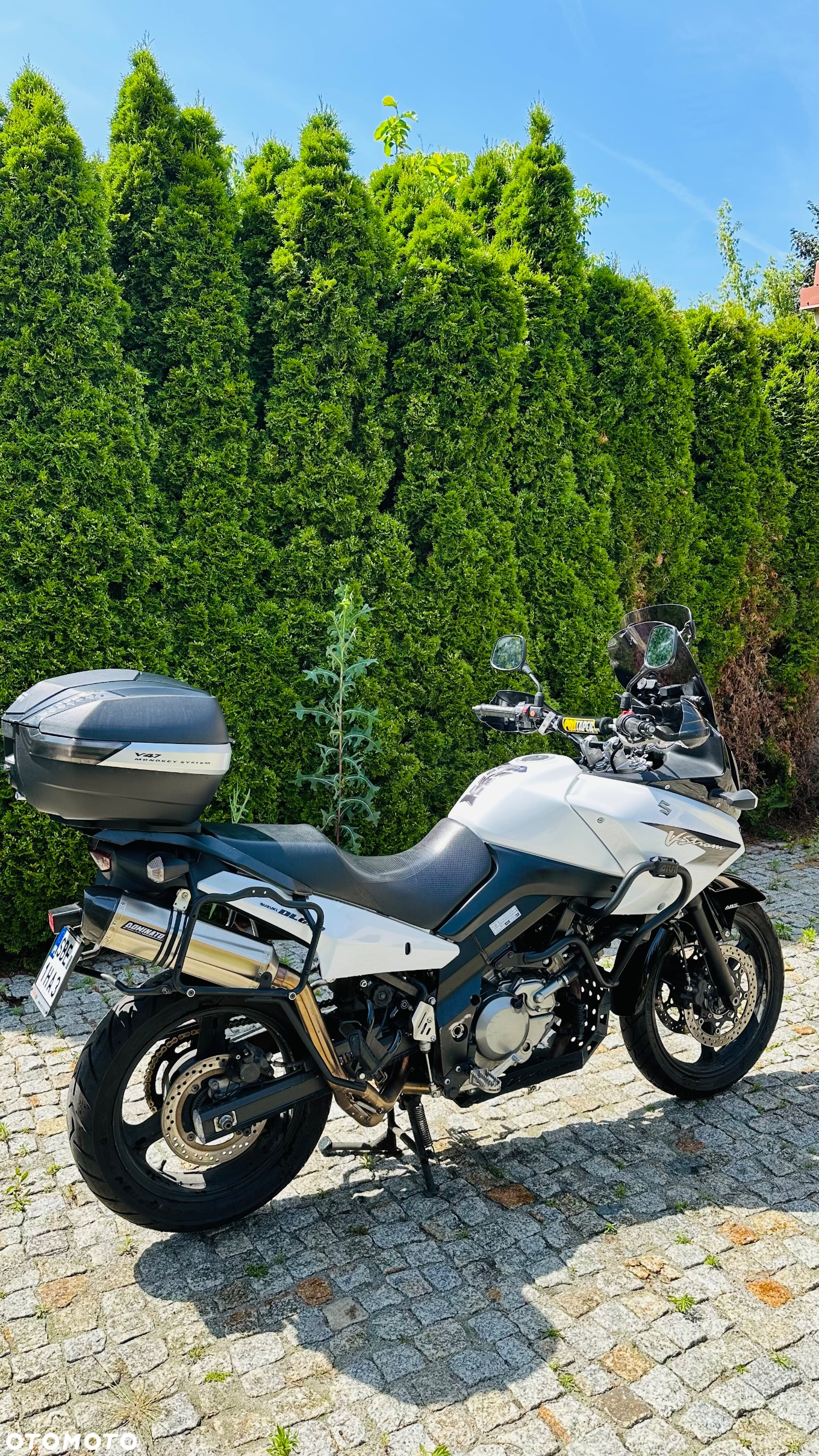 Suzuki DL - 4