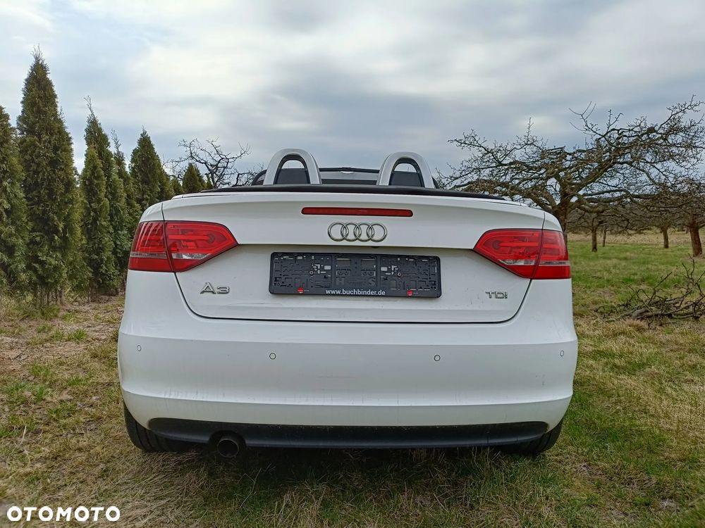 Audi A3 Cabrio 1.6 TDI DPF Attraction - 11