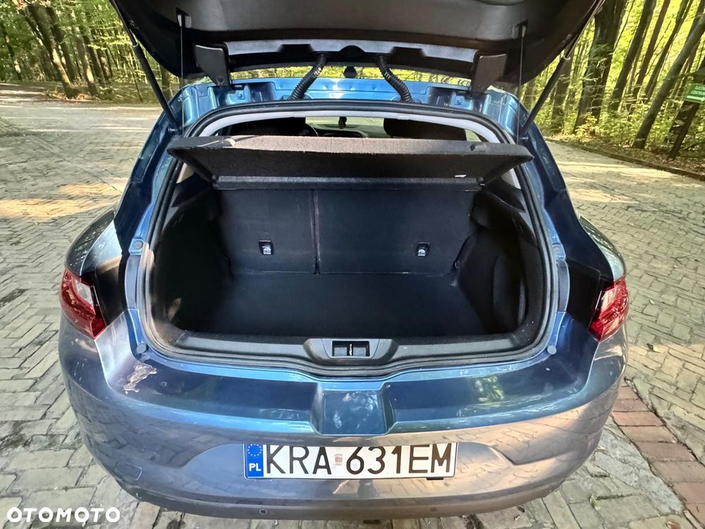 Renault Megane - 13