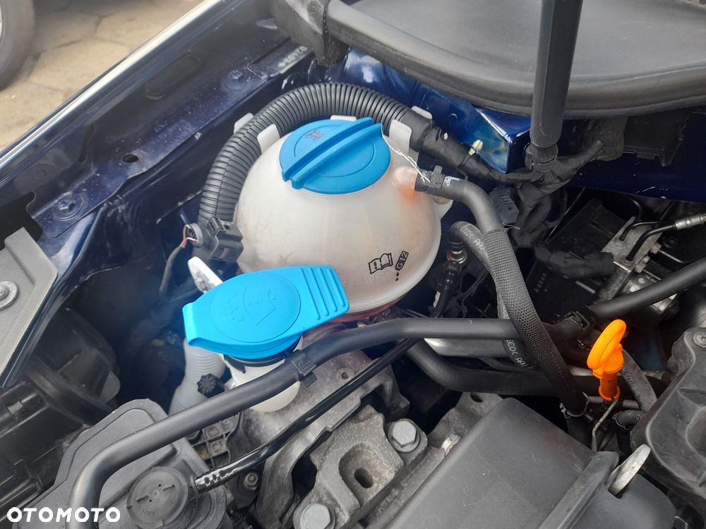 Volkswagen Golf - 28