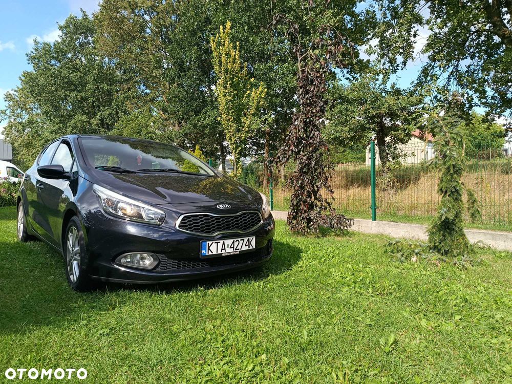 Kia Ceed - 1
