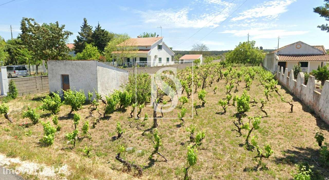 Terreno  Venda em São Miguel do Rio Torto e Rossio ao Sul do Tejo,Abra - Grande imagem: 2/4