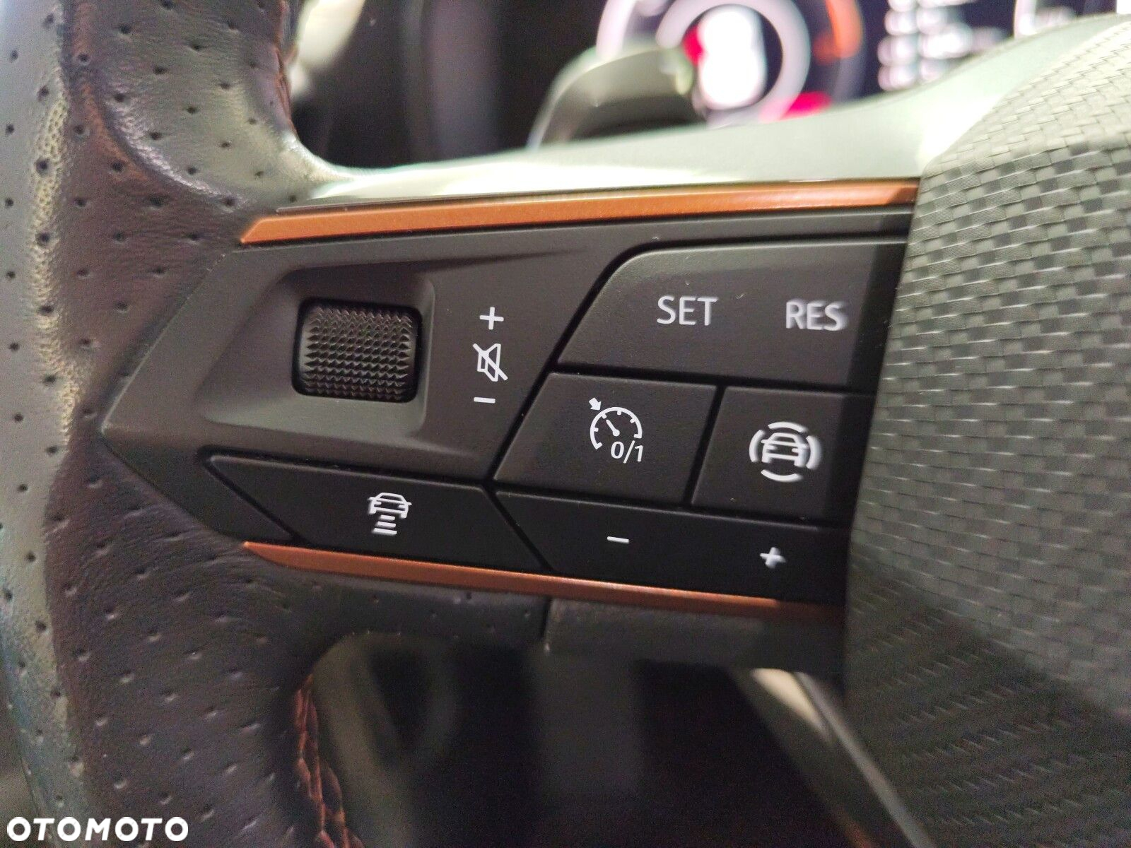 Cupra Formentor - 30