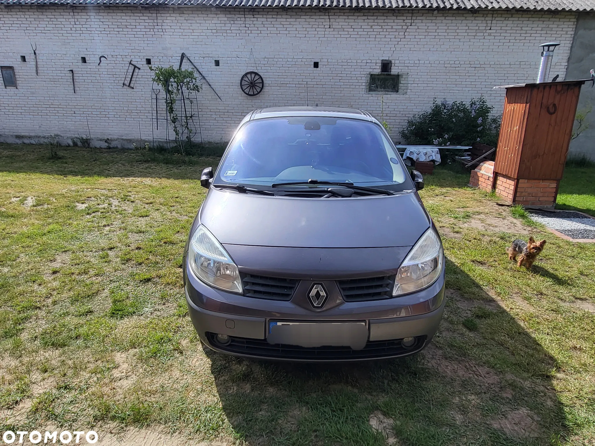Renault Scenic - 3