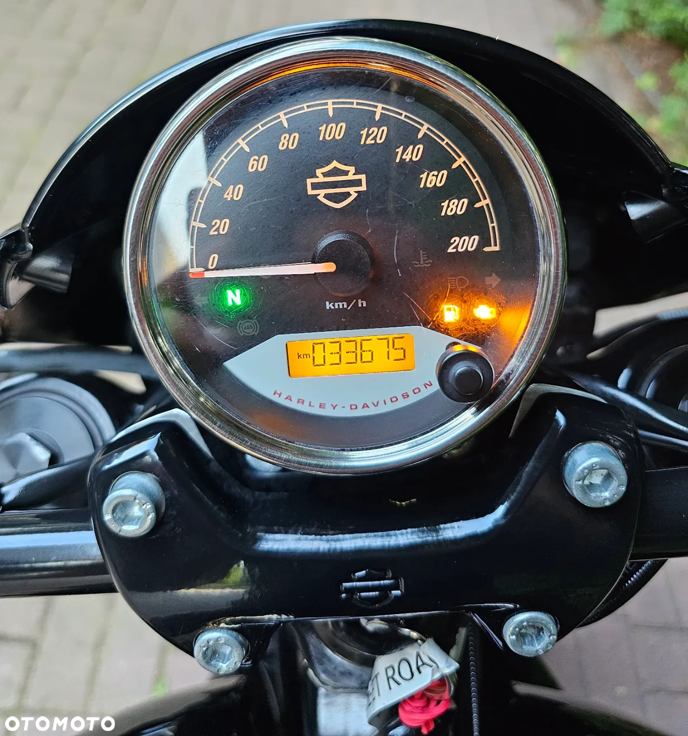 Harley-Davidson Street Rod XG 750A - 21
