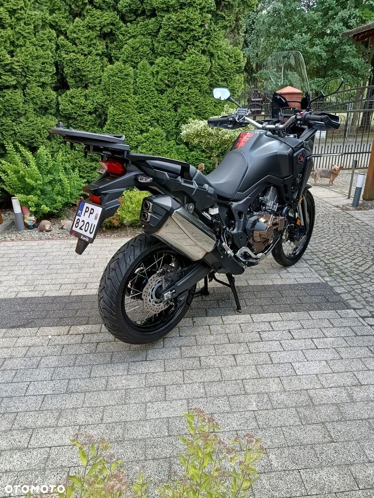 Honda CRF - 6