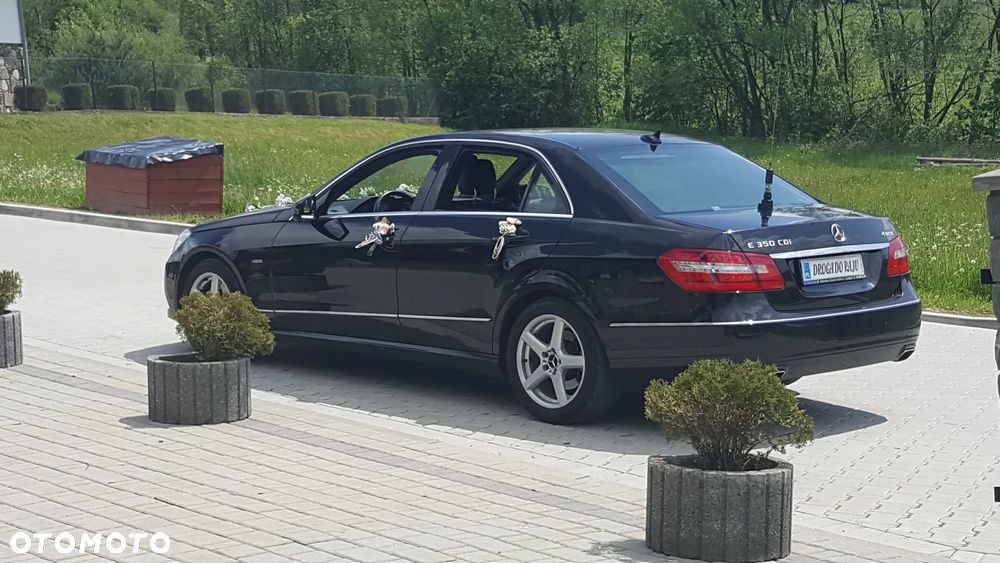 Mercedes-Benz Klasa E 350 CDI 4-Matic BlueEff Elegance - 10