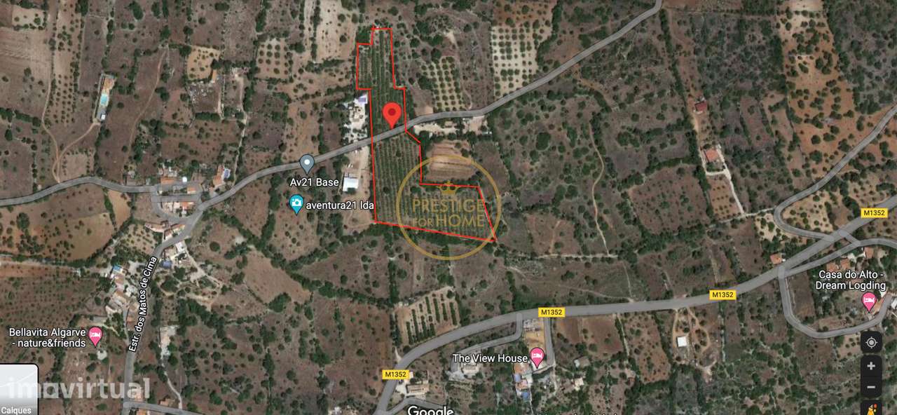 Terreno plano com 19720 m2 com plantação de amendoeiras - Grande imagem: 2/7