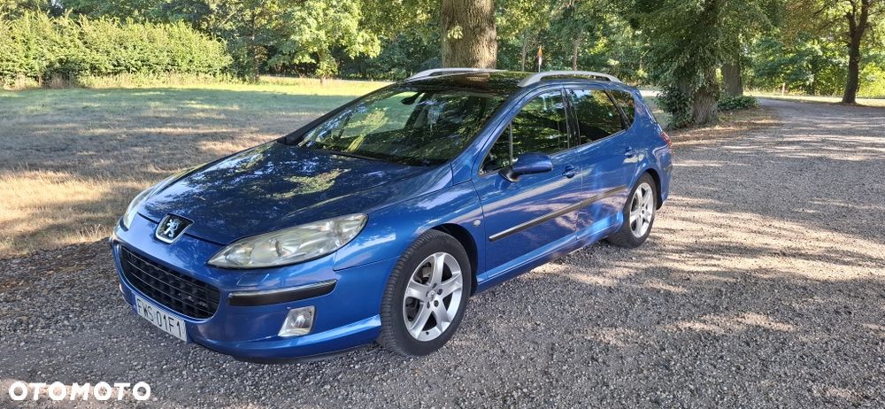 Peugeot 407 - 1