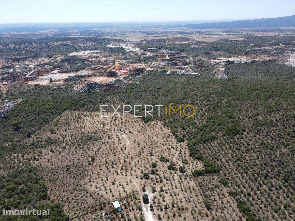 Terreno com Olival e Potencial para Exploração de Mármore | 3,675... - Grande imagem: 2/8