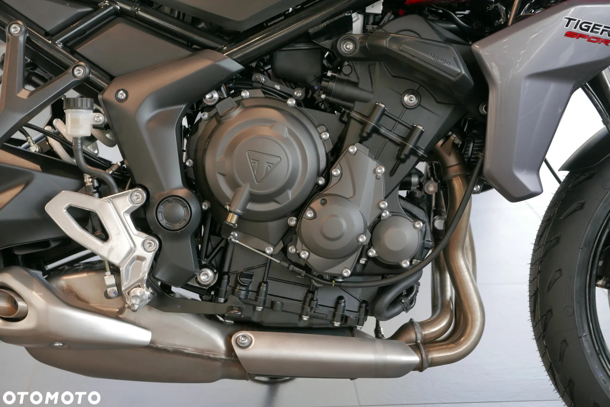 Triumph Tiger - 13