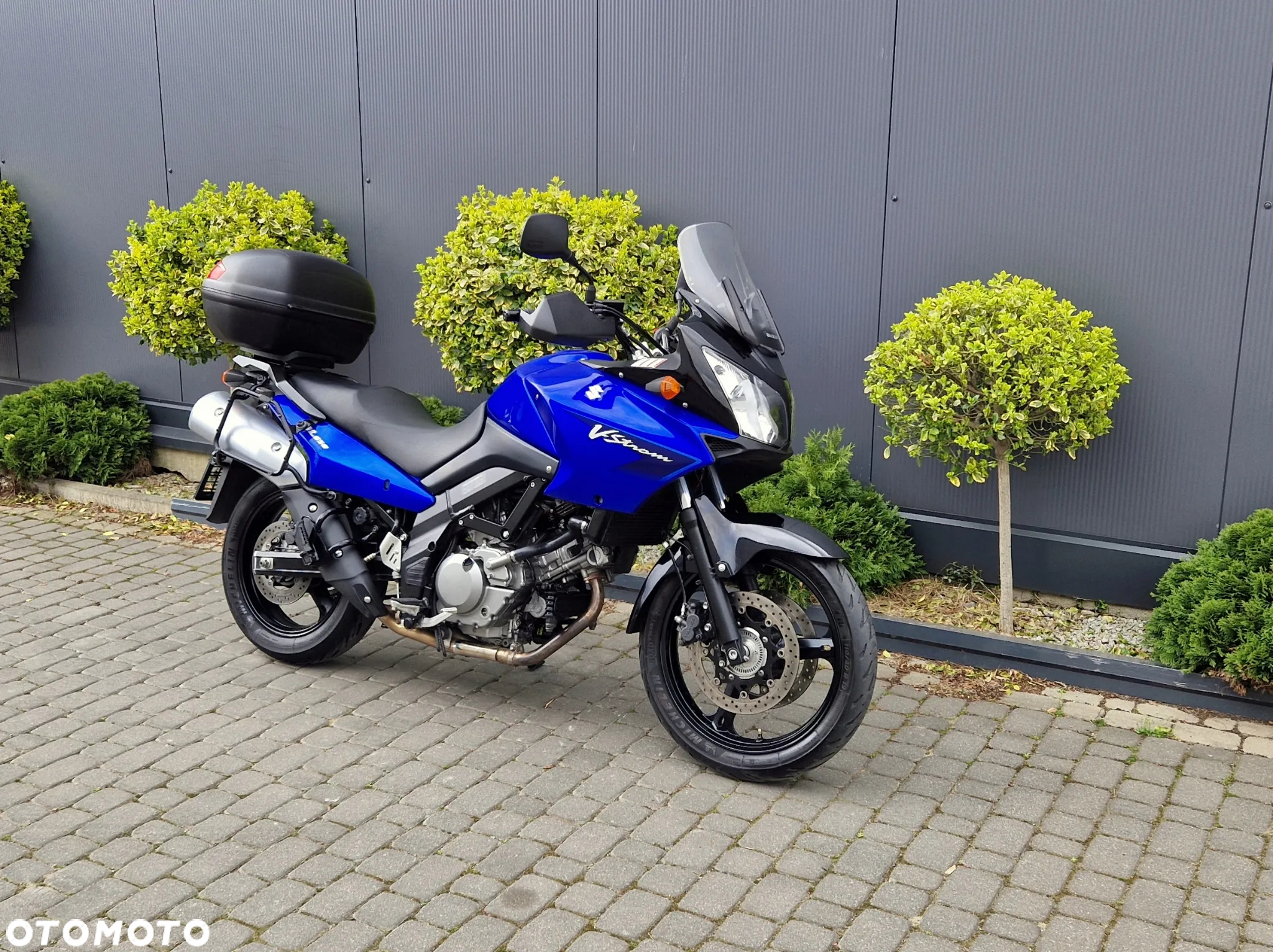 Suzuki DL - 2