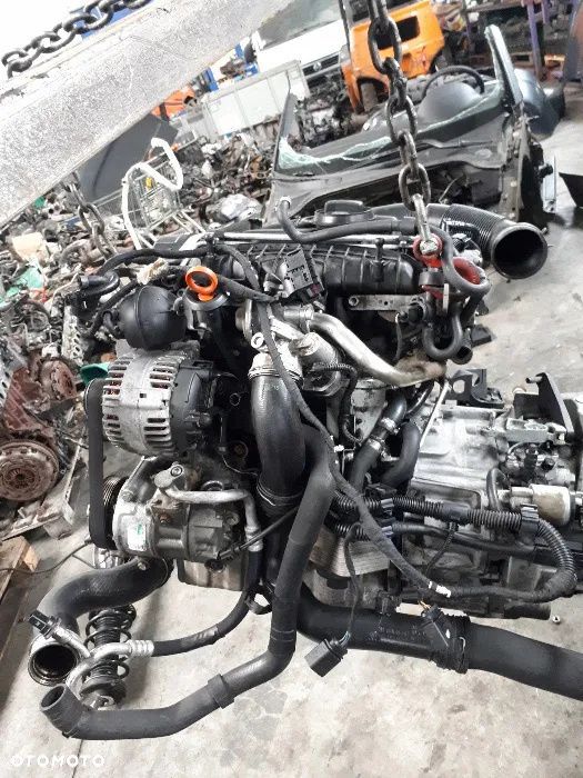BKD ! Silnik Audi, Seat, Skoda Volkswagen VW !! 2.0 tdi ! Polecam !! - 1