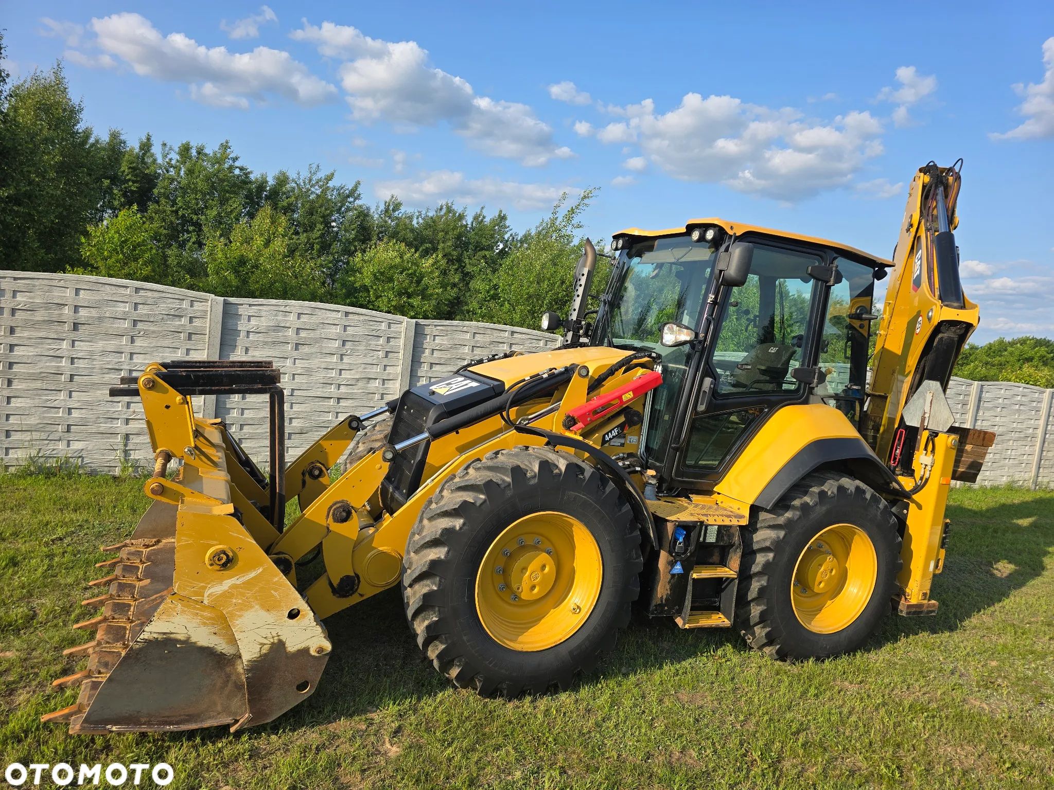 Caterpillar - 1