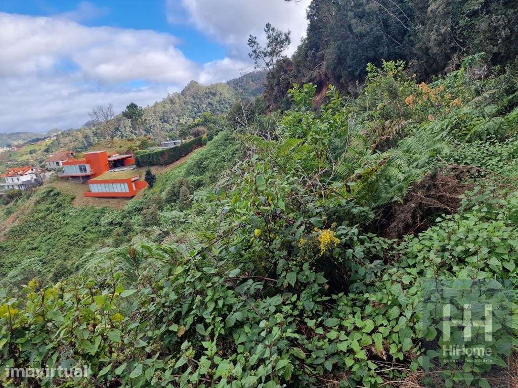 Terreno com Vista Mar e Serra - Santana, Madeira - Grande imagem: 4/19