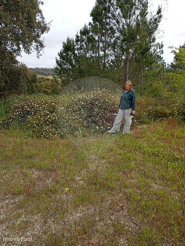 Terreno  para venda - Grande imagem: 3/6