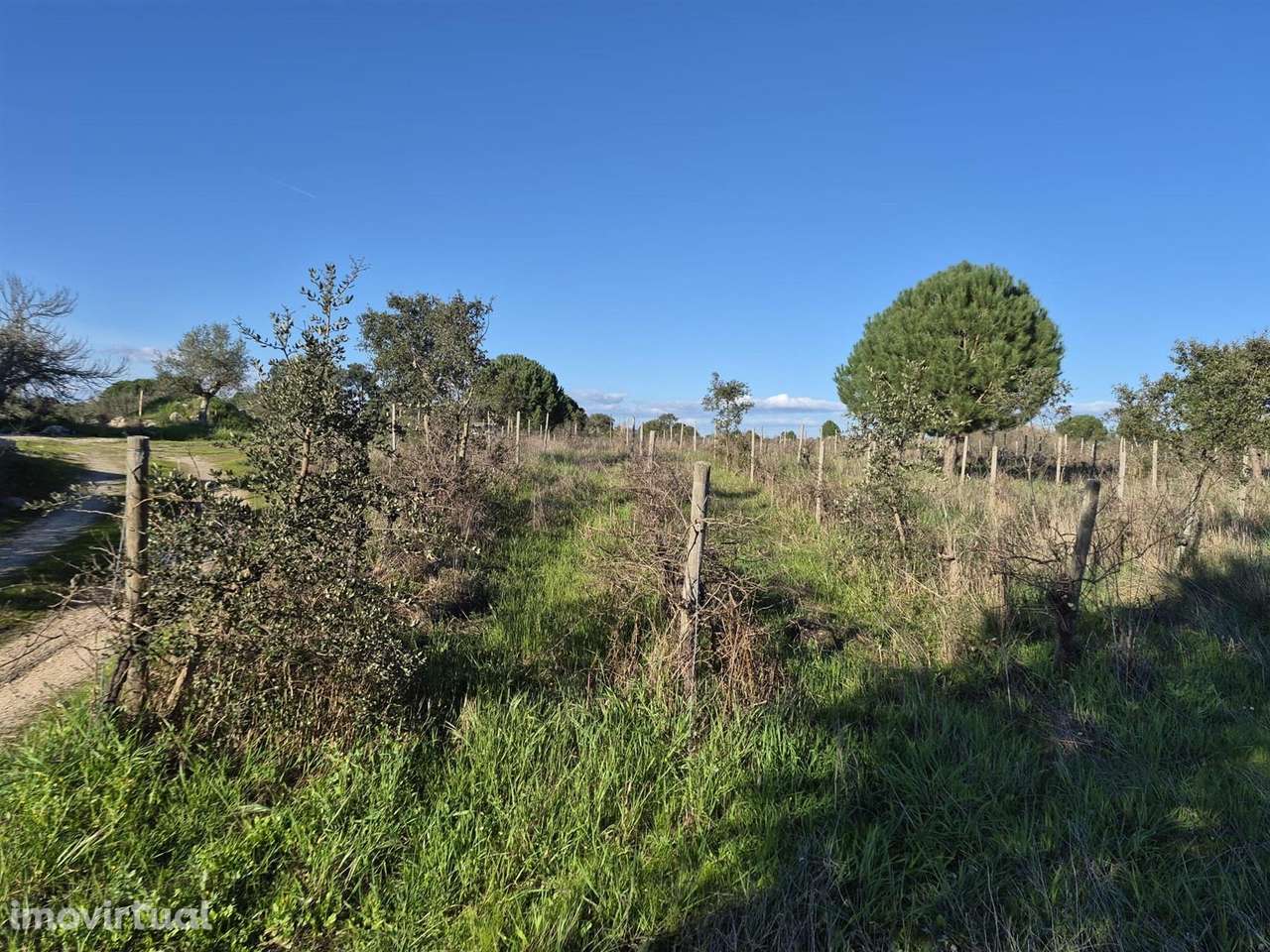 Quinta - Grande imagem: 5/10