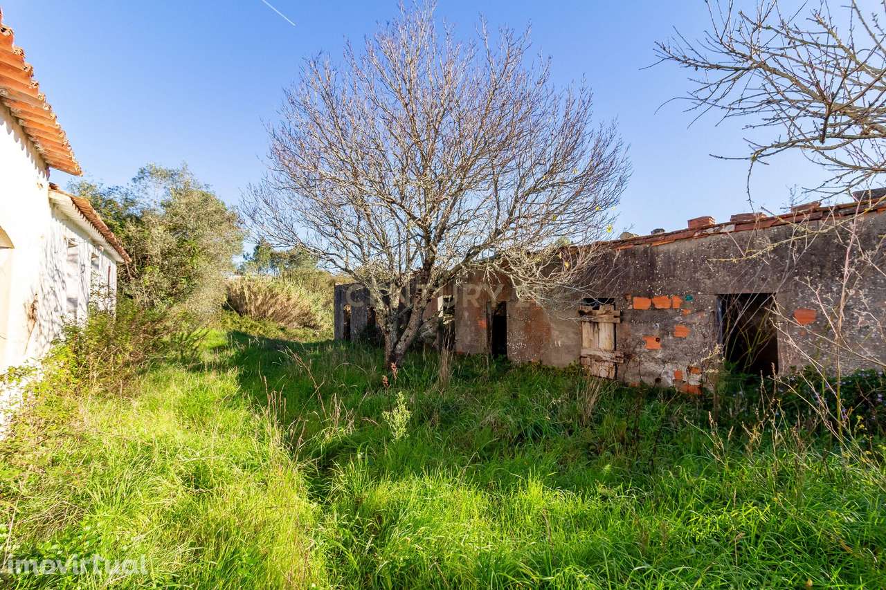 Moradia Térrea para Requalificação Total – Junqueira - Grande imagem: 3/4