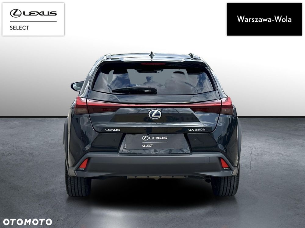 Lexus UX 250h GPF F Impression 2WD - 6
