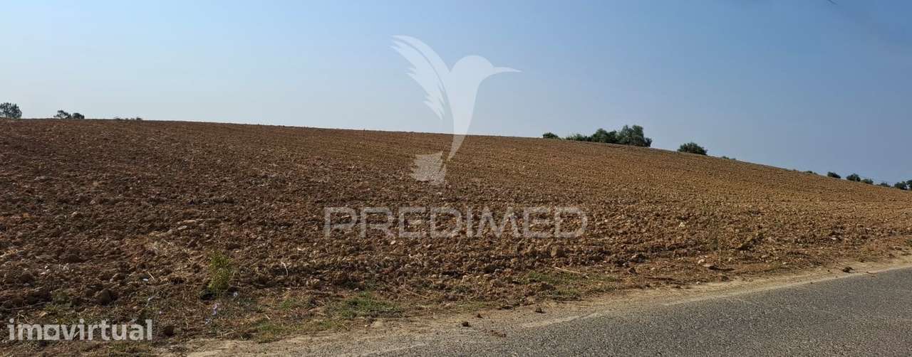 Terreno Rústico com 2,68 ha em Achete, Santarém. - Grande imagem: 5/9