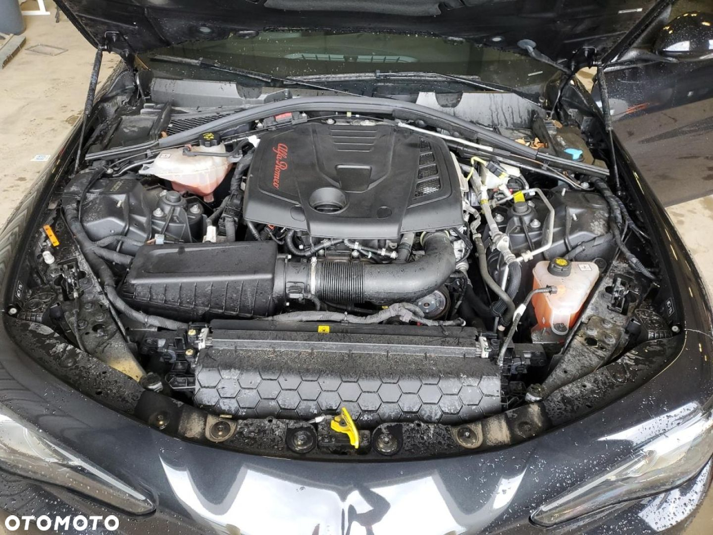 Alfa Romeo Giulia - 6