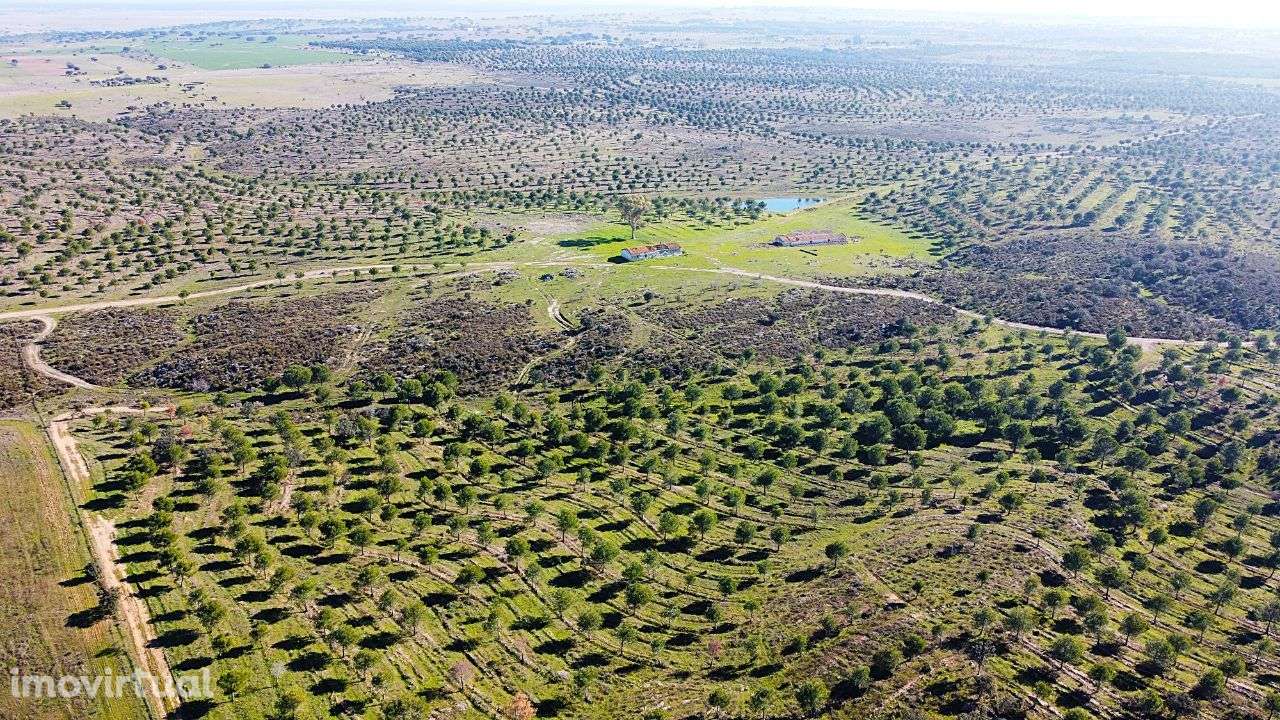 Herdade junto ao Lago de Alqueva - Mourão - Grande imagem: 2/15