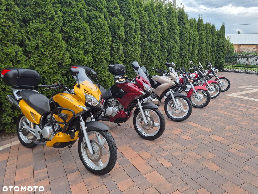 Honda Shadow - 20