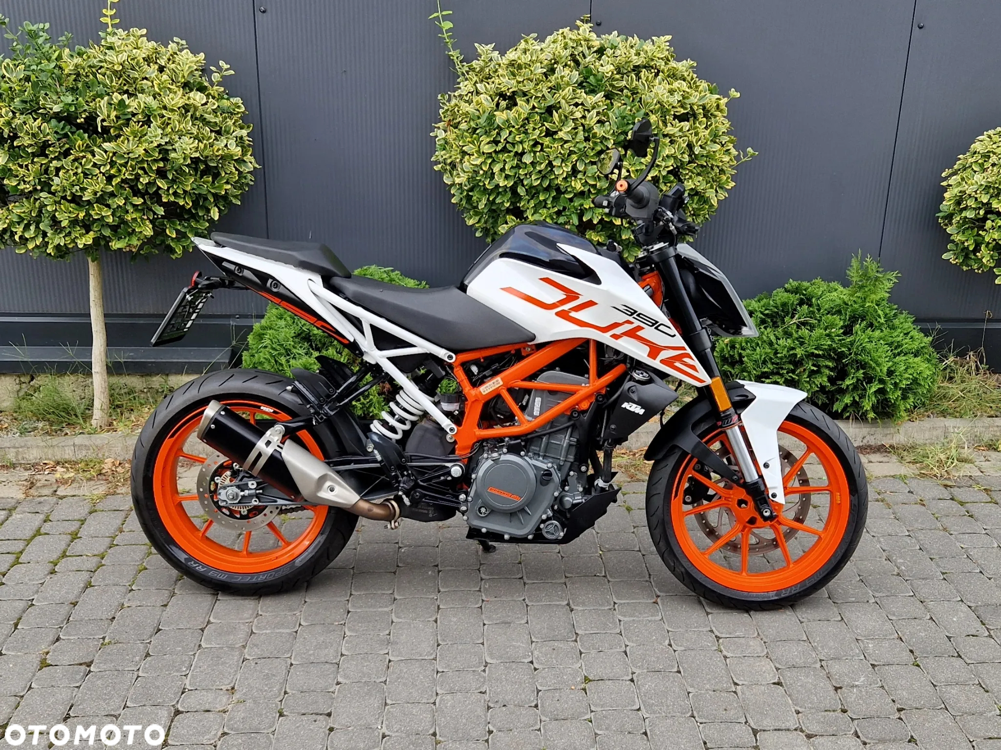 KTM Duke - 3