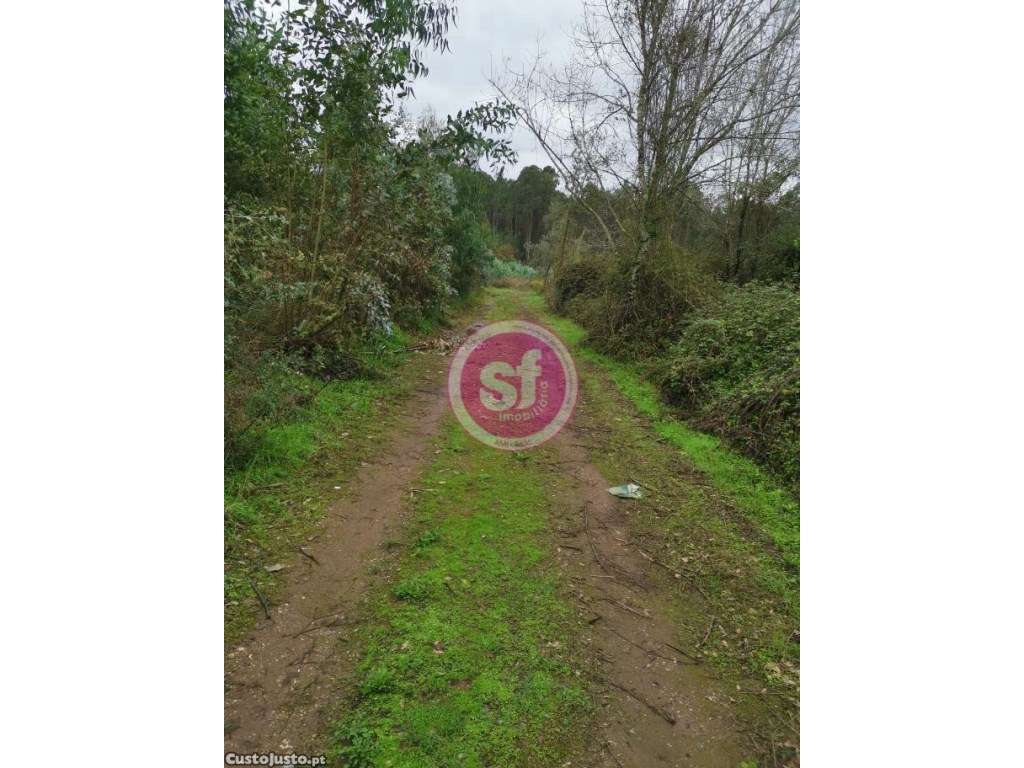 Terreno Rustico para venda ! - Grande imagem: 2/3