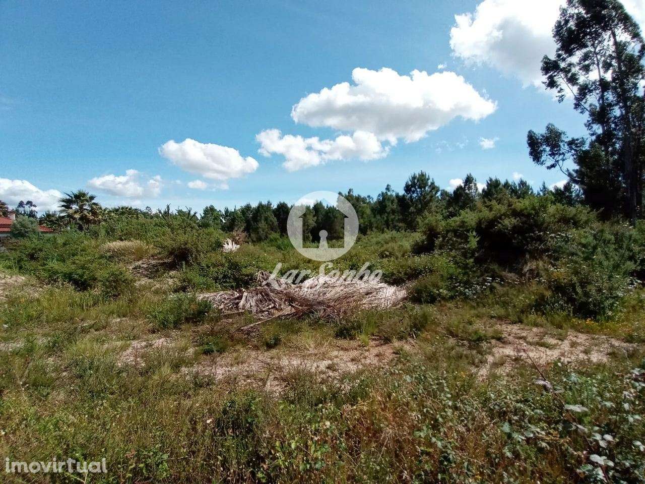 Terreno industrial para construção - Grande imagem: 3/21