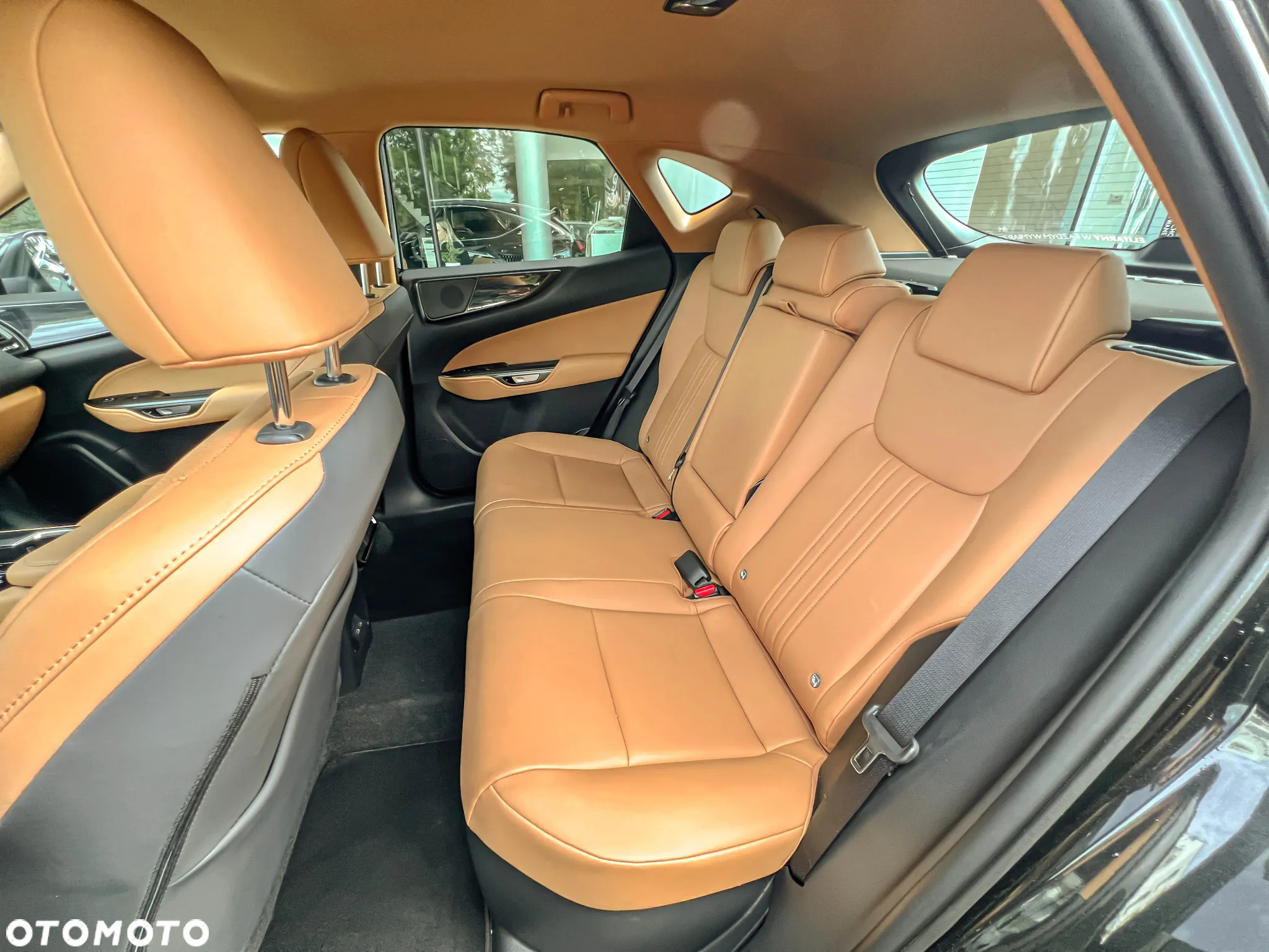 Lexus NX 350h Prestige AWD - 13