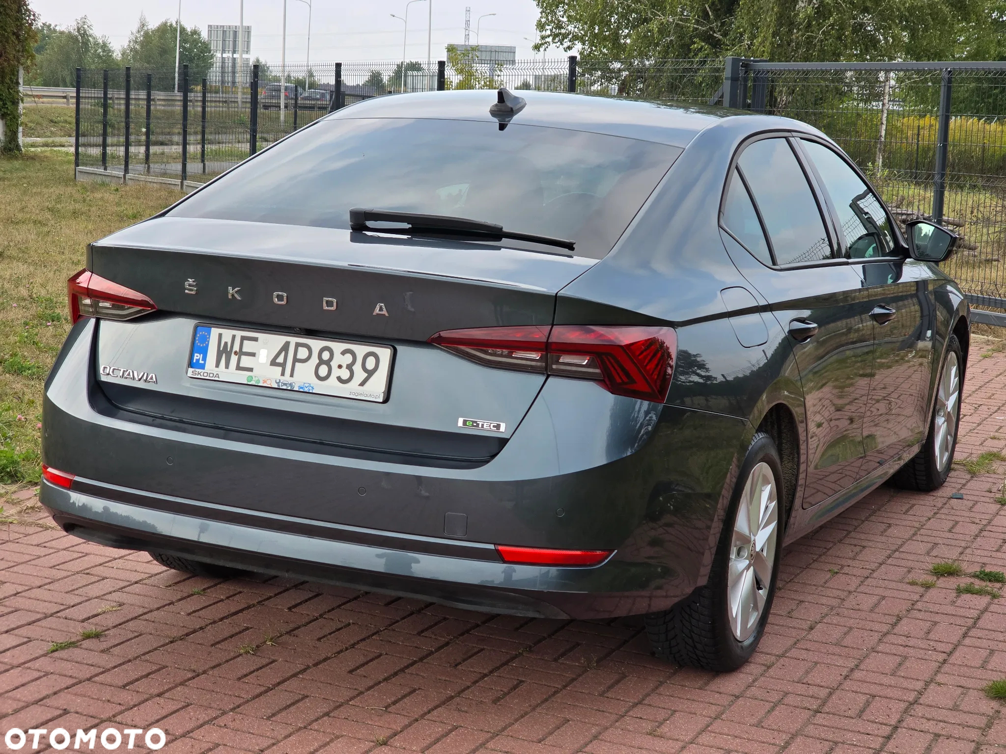 Skoda Octavia 1.5 TSI GPF ACT Ambition DSG - 11
